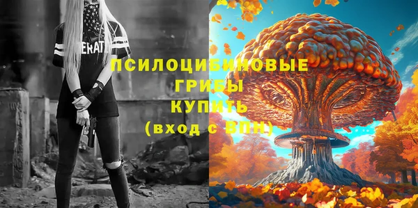 ГАЛЛЮЦИНОГЕННЫЕ ГРИБЫ Майский