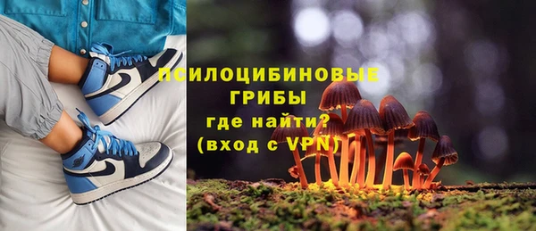 a pvp Магадан