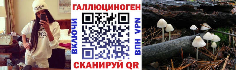 где купить наркоту Уссурийск Галлюциногенные грибы GOLDEN TEACHER