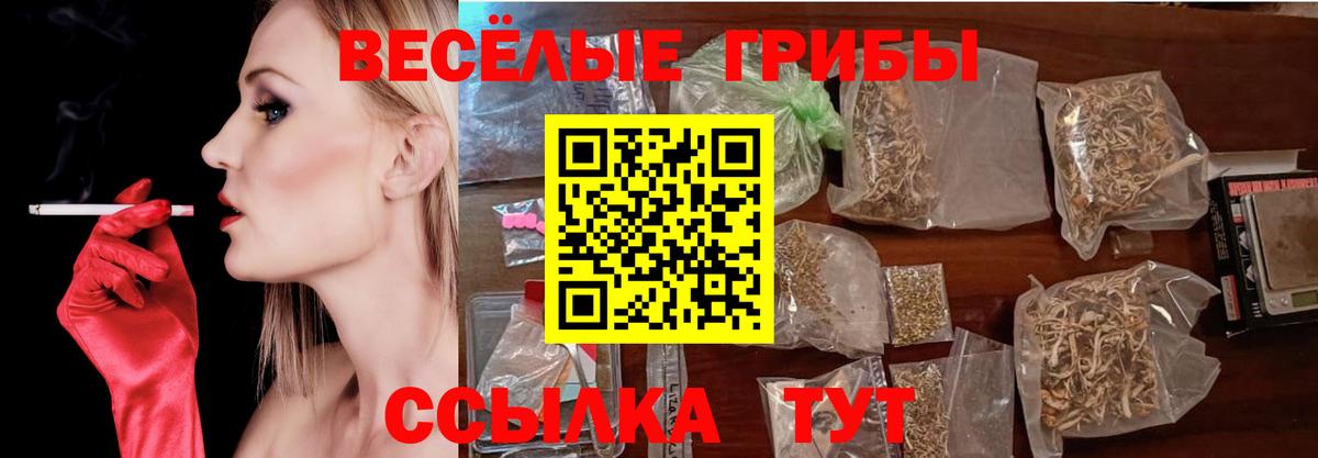 Уссурийск  Псилоцибиновые грибы Cubensis  где найти   Вход с VPN 