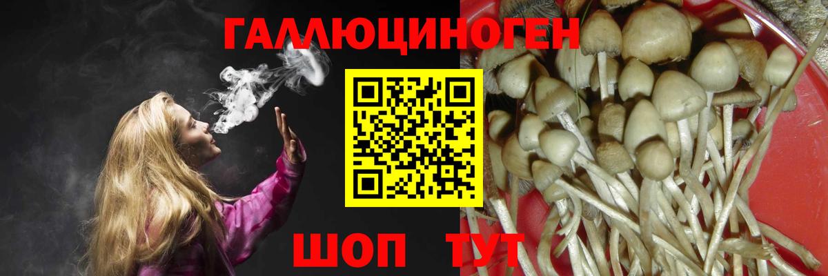 Псилоцибиновые грибы MAGIC MUSHROOMS  Уссурийск  Псилоцибиновые грибы прущие грибы 